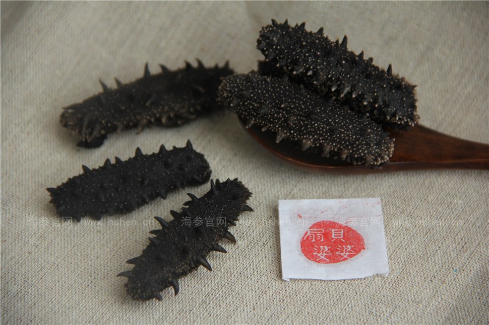 大连纯淡干海参 刺饱满 肉质厚