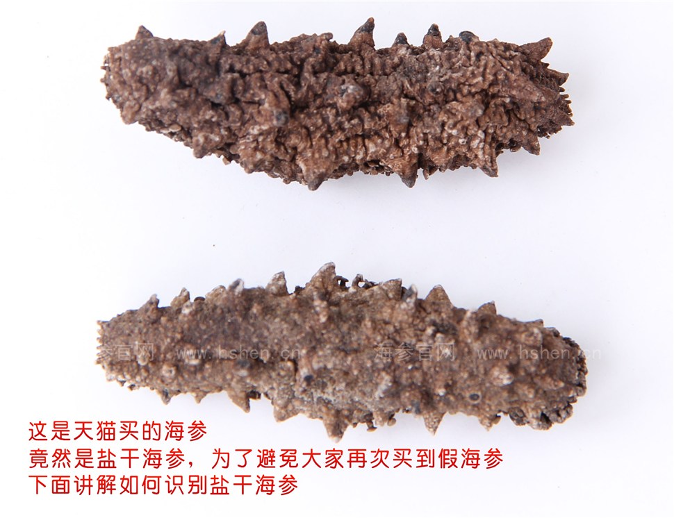 什么是盐干海参 盐干海参好吗