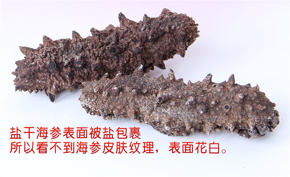 盐干海参表面被盐包裹