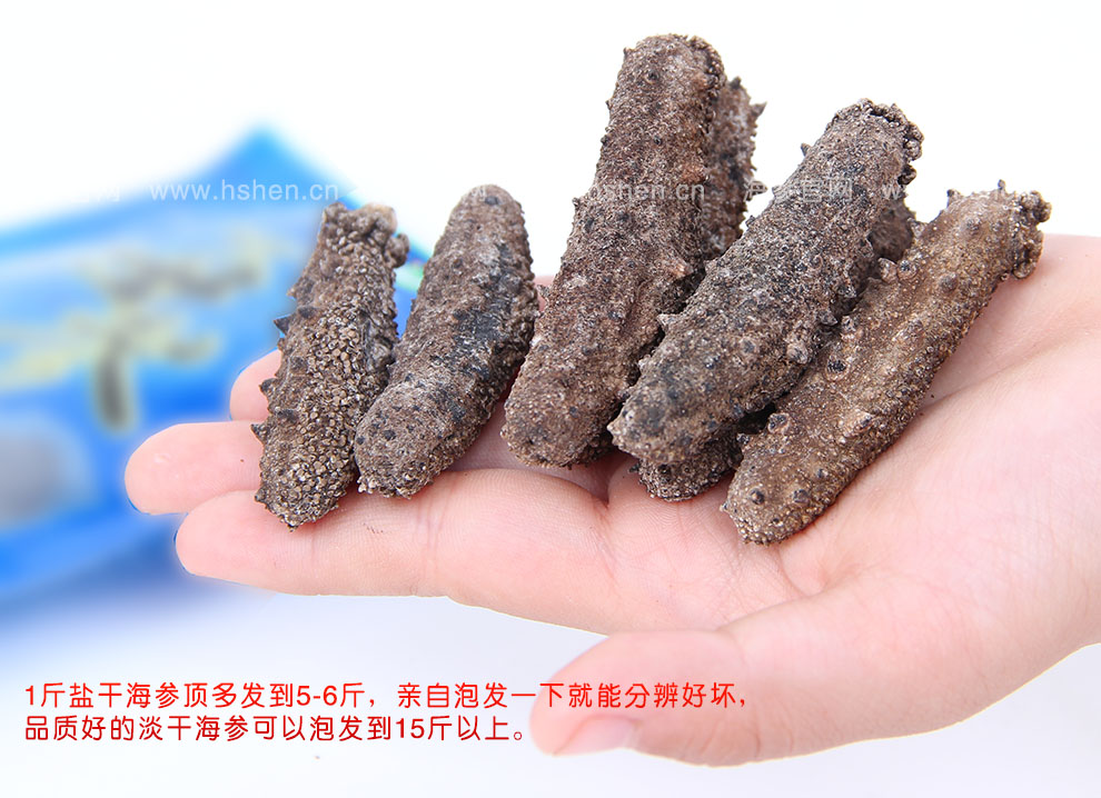 盐干海参的识别方法