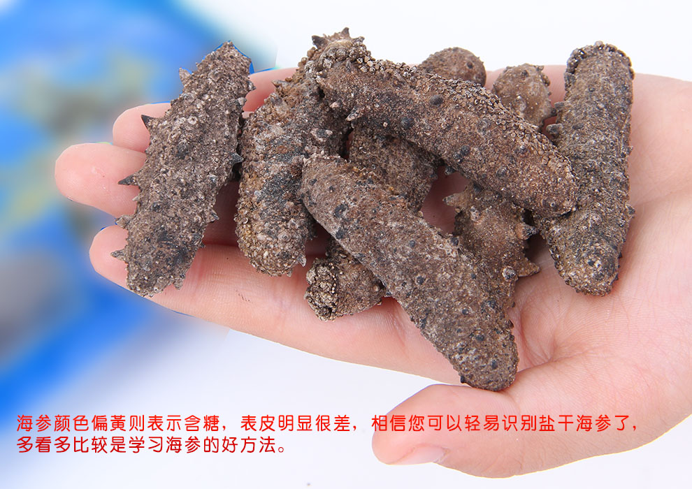 什么是盐干海参