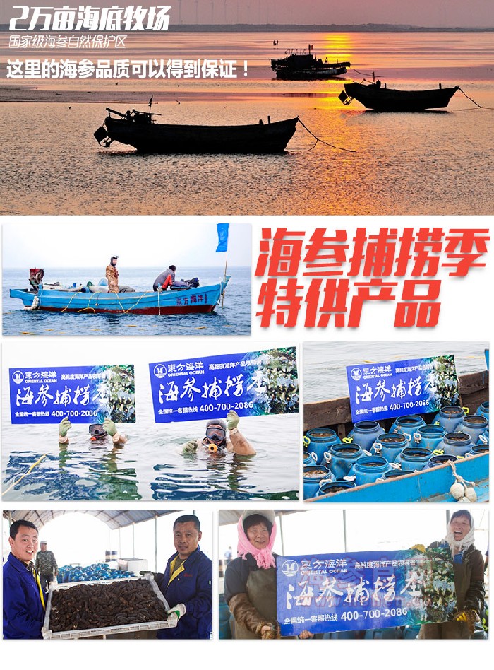 东方海洋海参品牌介绍,东方海洋海参产品介绍,东方海洋海参店面