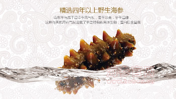 东方海洋海参品牌介绍,东方海洋海参产品介绍,东方海洋海参店面