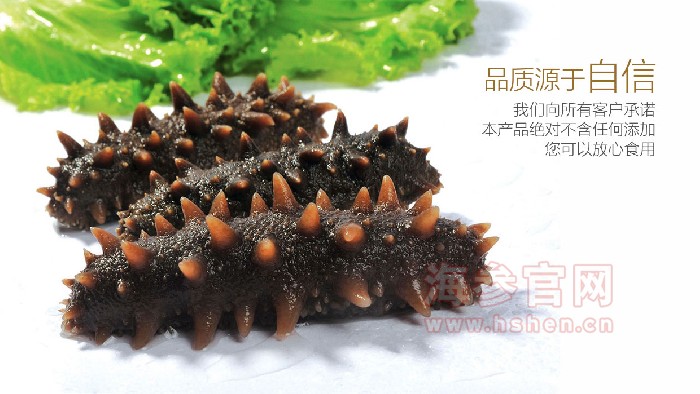 东方海洋海参品牌介绍,东方海洋海参产品介绍,东方海洋海参店面