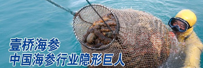 壹桥海参品牌介绍,壹桥海参产品介绍,壹桥海参店面