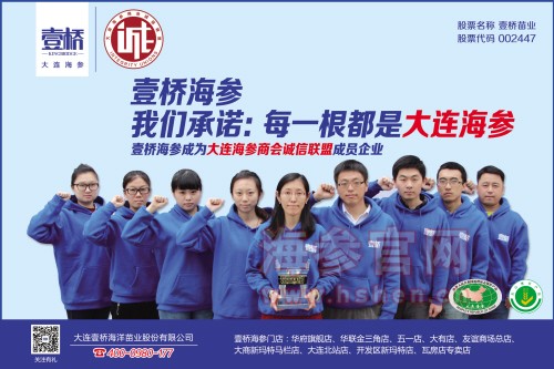 壹桥海参品牌介绍,壹桥海参产品介绍,壹桥海参店面