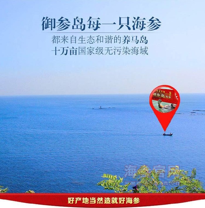 御参岛海参品牌介绍，御参岛海参产品介绍，御参岛海参店面