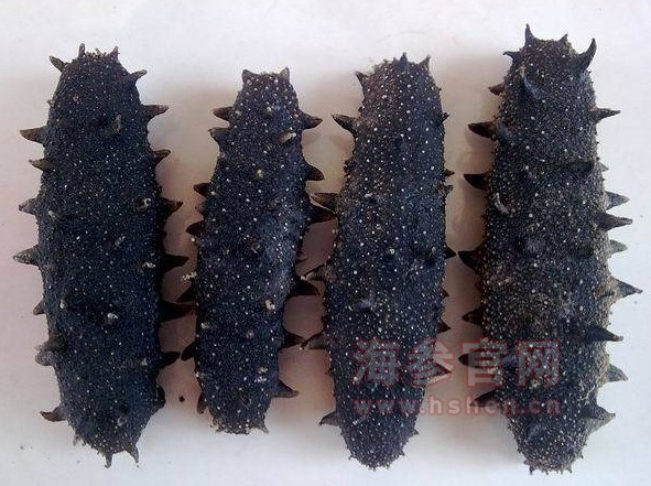 盐干海参的价格