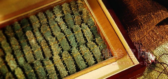 盐干海参的泡发