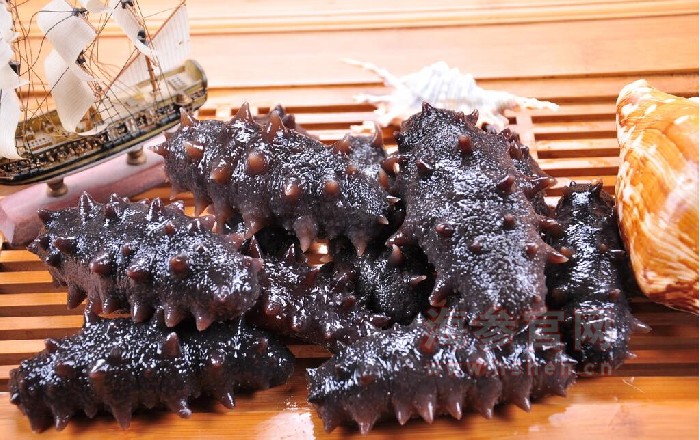 即食海参的价格是多少
