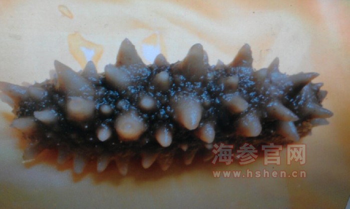 冷冻海参的处理方式
