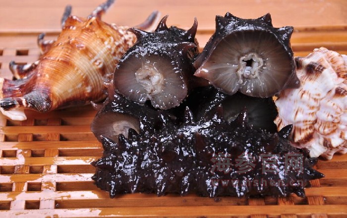 高压即食海参能放多久