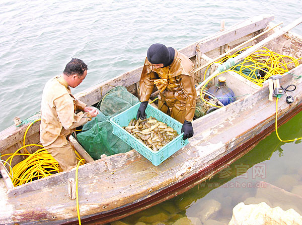 海参什么价位