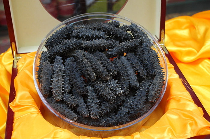 海参销售