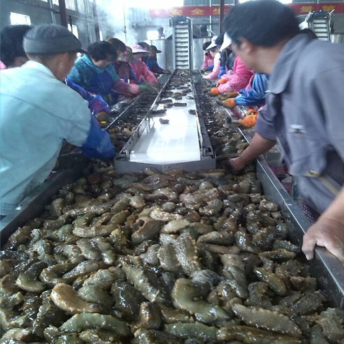 海参市场