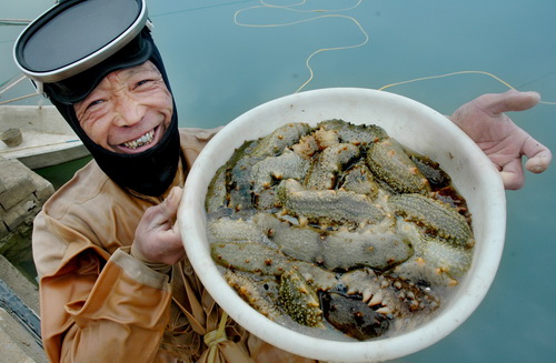 海参养殖