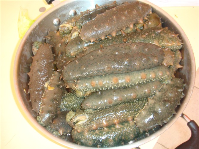 新鲜海参