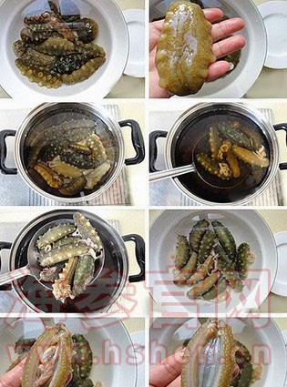 高压海参的做法