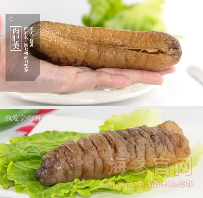 黄玉参进口海参