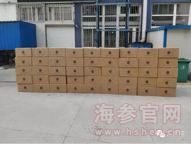 大连辽渤湾海参