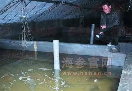 圈养海参