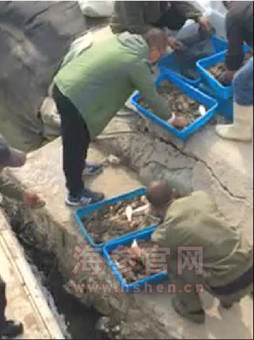 圈养海参