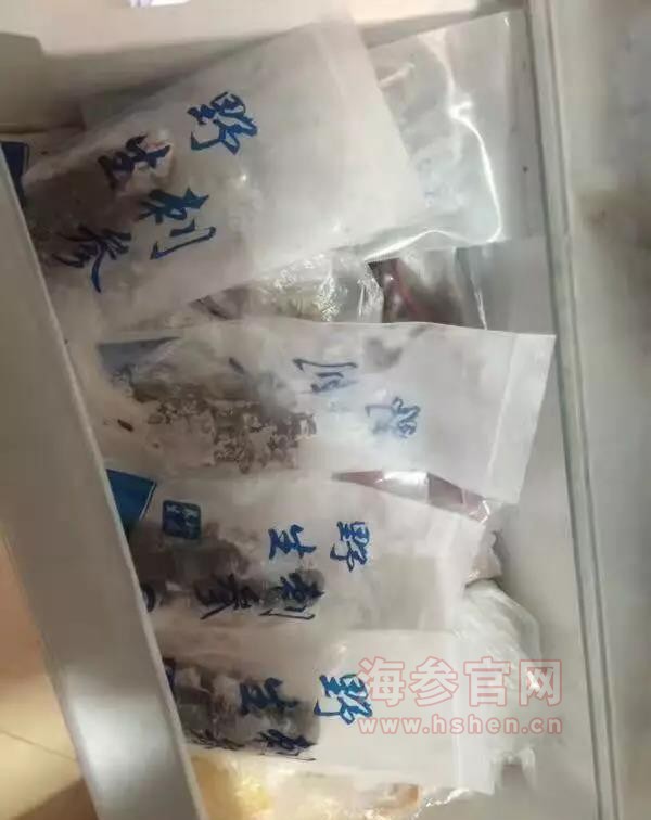 海参