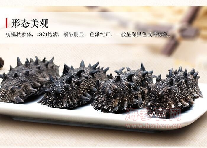 大连海参