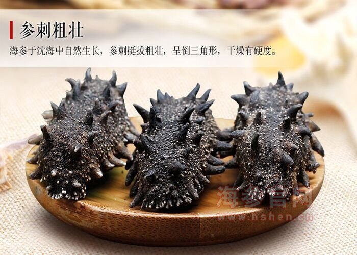 大连海参