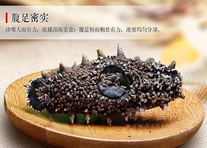 大连海参