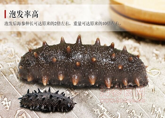 大连海参