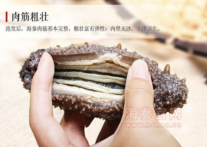 大连海参