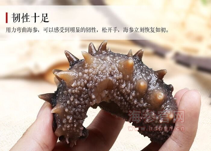 大连海参