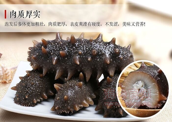 大连海参