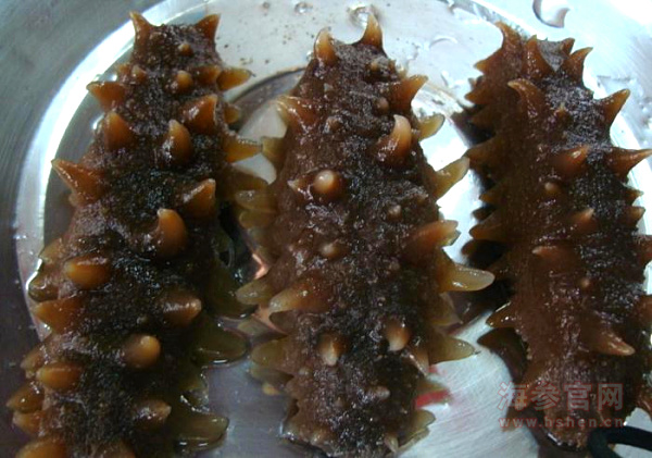 即使海参多少钱一斤