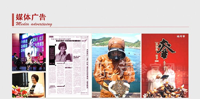 晓芹海参品牌介绍
