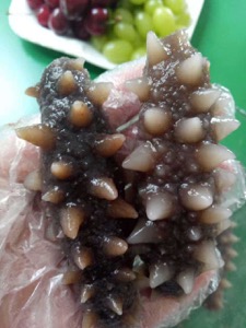 海参泡发效果图
