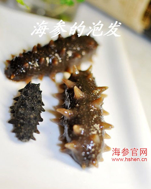 海参泡发后对比