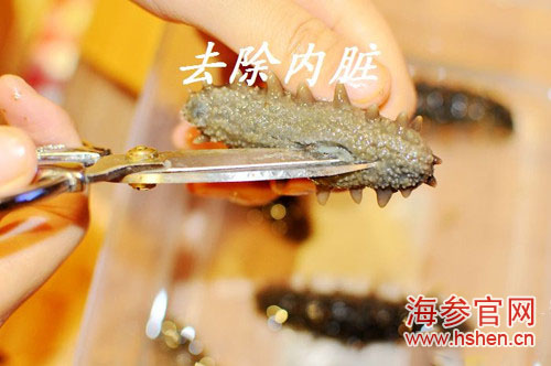 如何去除海参沙嘴