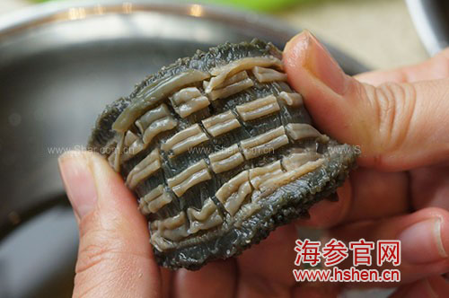 海参筋