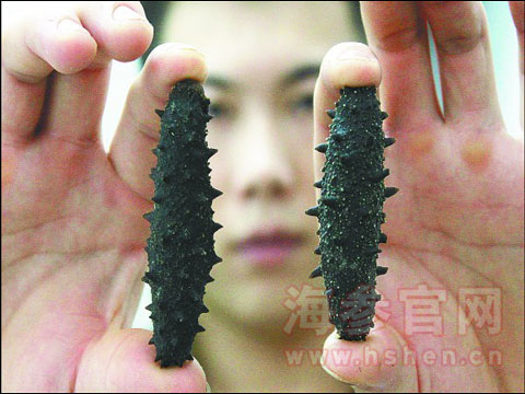 海参多少钱一斤