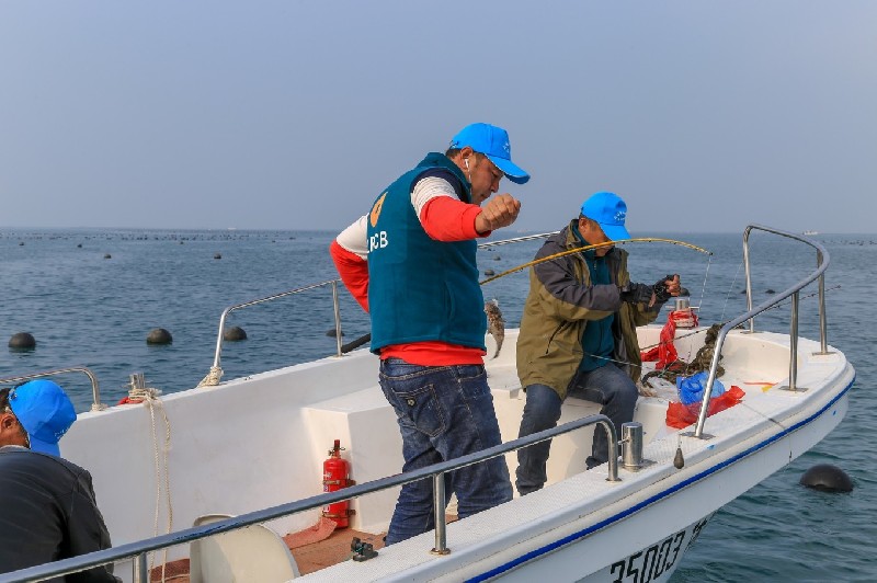 捕海参期间海钓