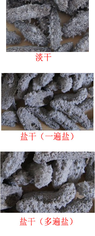 盐干海参识别方法