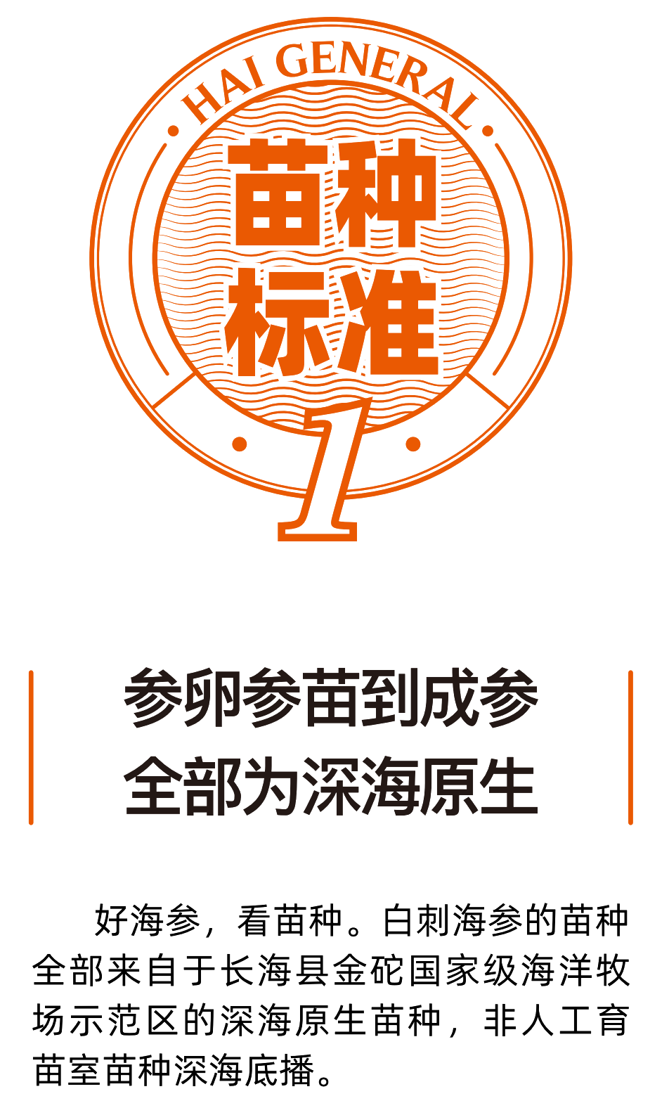 海将军海参的参苗种标准是：参卵参苗到成参全部为深海原生，好海参，看苗种。白刺海参的围和全部来自于长海县金陀国家级海洋物场示范区的深海原生菌种，非人工育苗室苗泣深温序播。