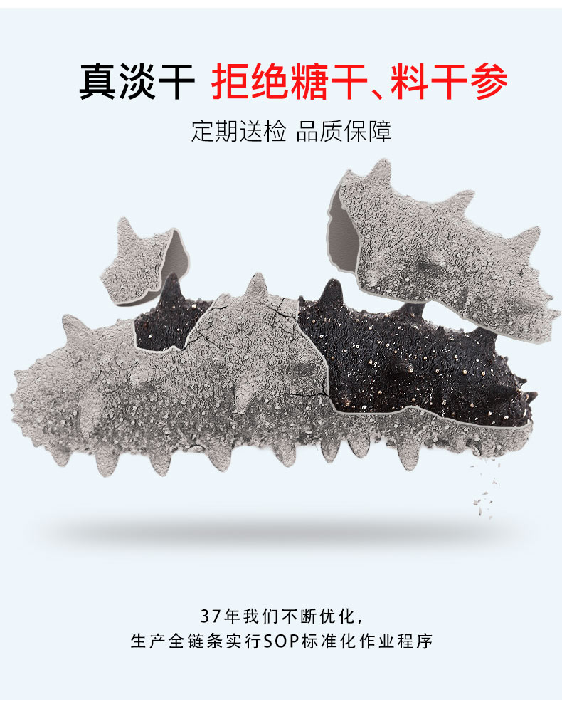 淡干海参营养好，请拒绝糖干和盐干海参