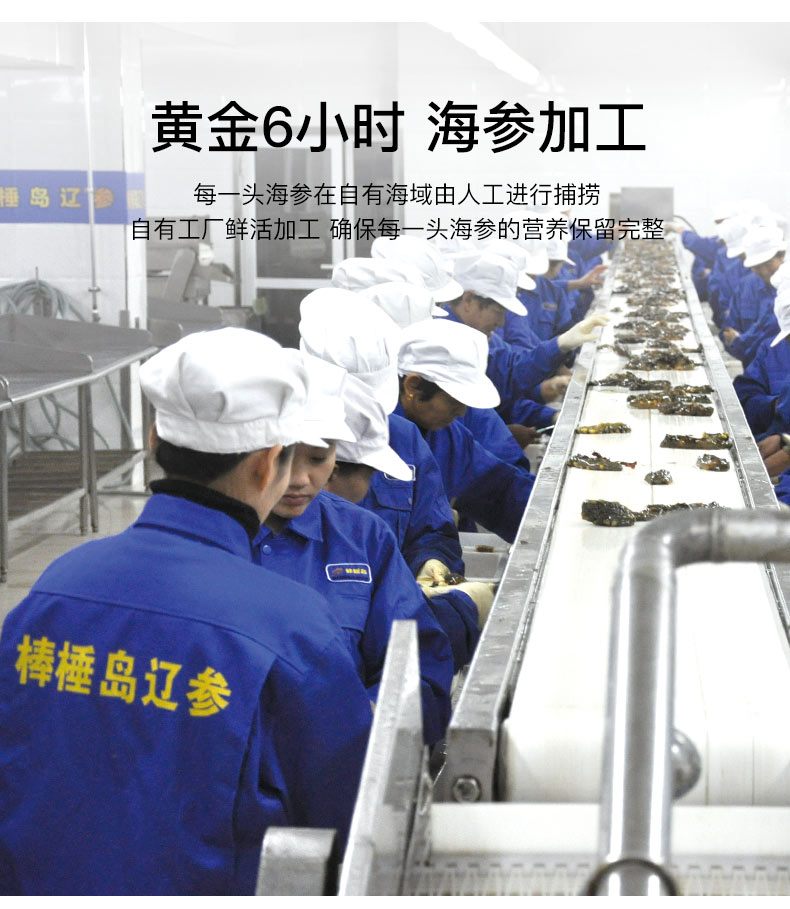 棒棰岛黄金6小时海参加工要求