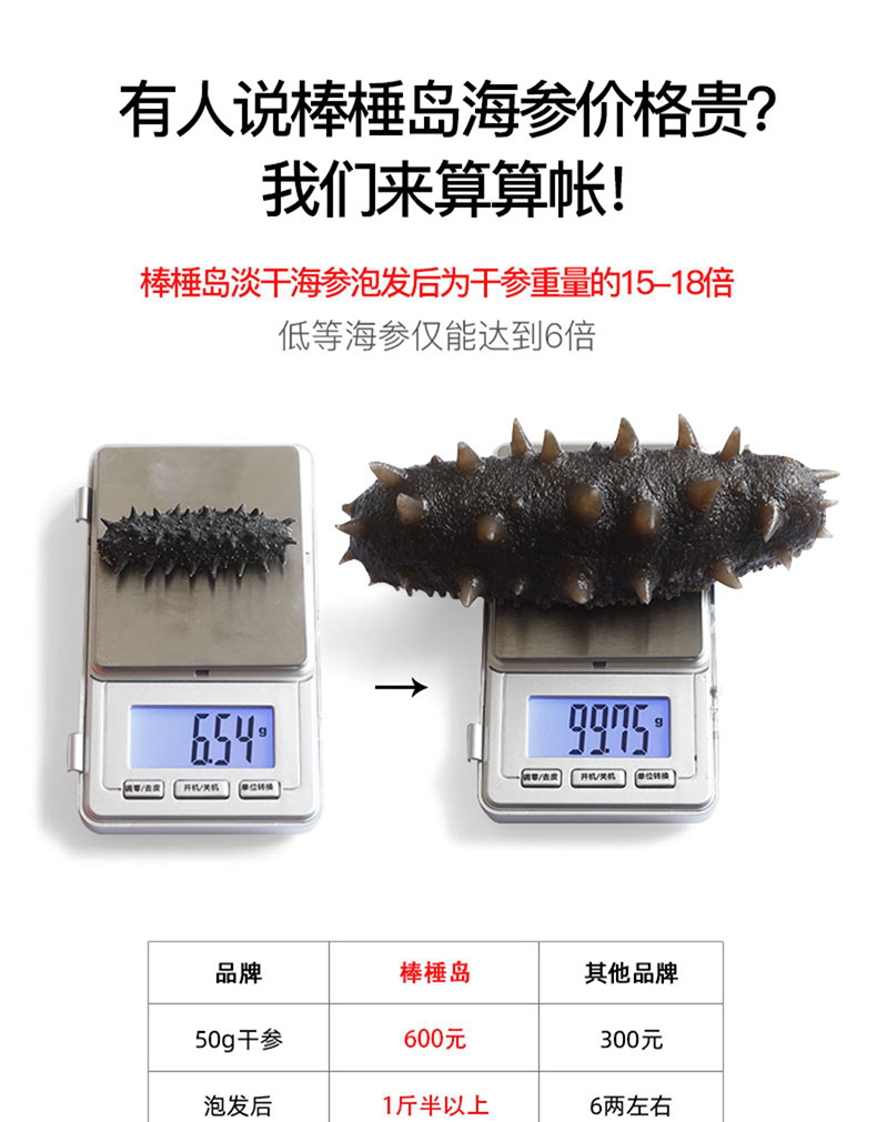 棒棰岛海参价格到底贵不贵如何购买