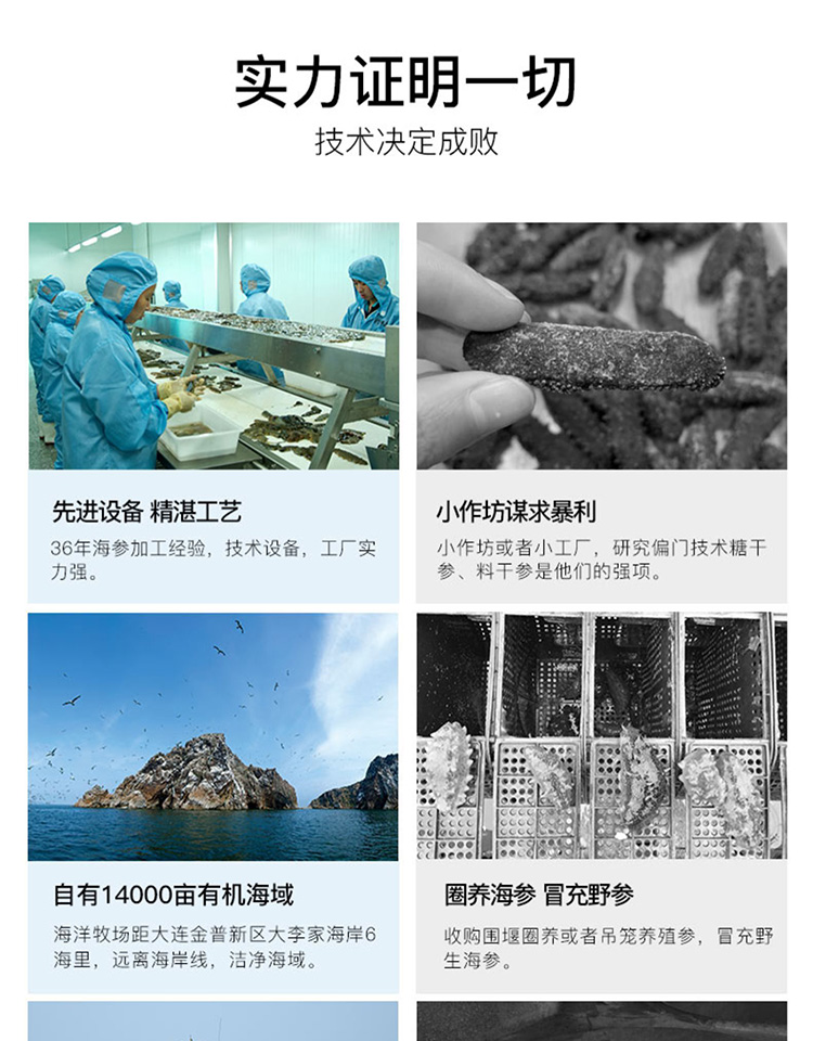 自由海域棒棰岛海参