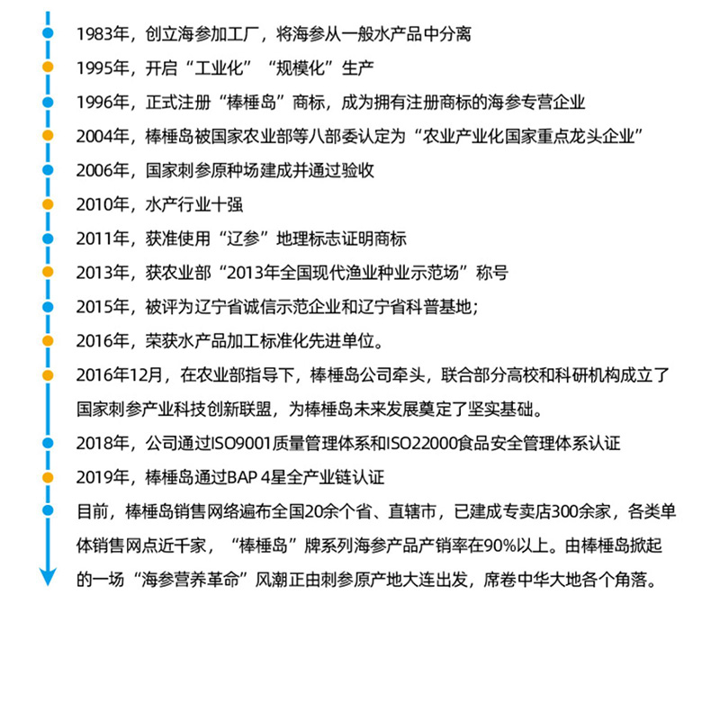 棒棰岛公司企业历史征程进度
