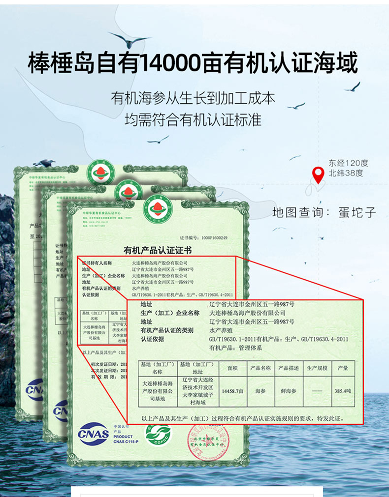棒棰岛海参有机认证海域 有机产品认证证书 蛋坨子